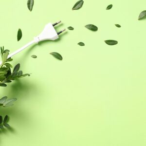 Transizione Ecologica